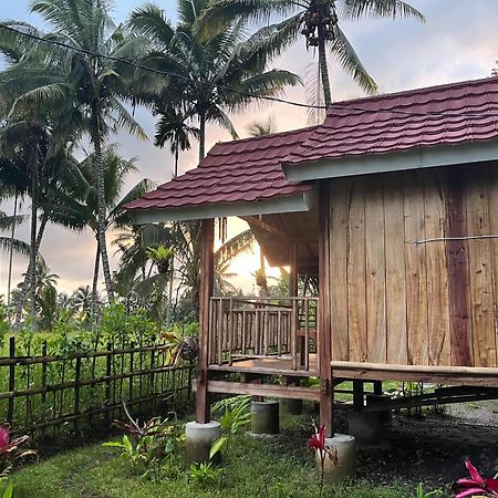 Syaqila Homestay Lombok テテバトゥ エクステリア 写真