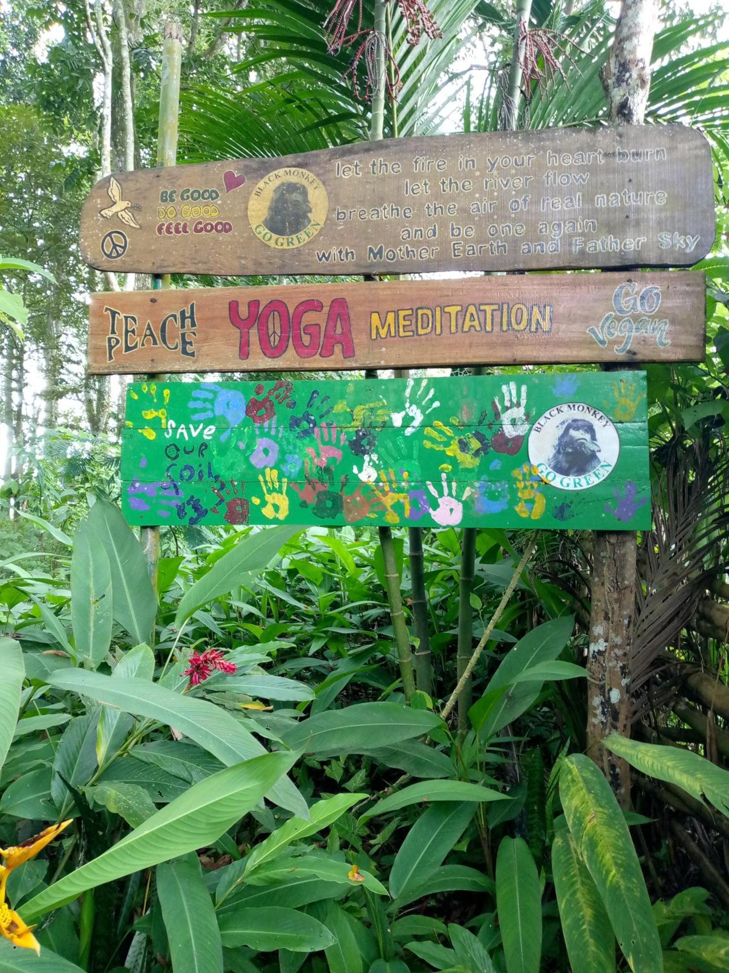 Syaqila Homestay Lombok テテバトゥ エクステリア 写真
