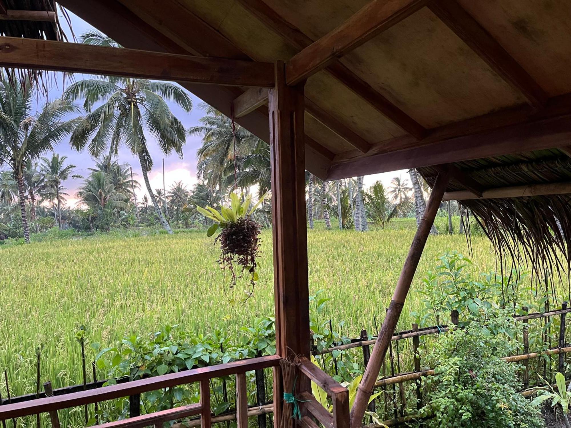 Syaqila Homestay Lombok テテバトゥ エクステリア 写真