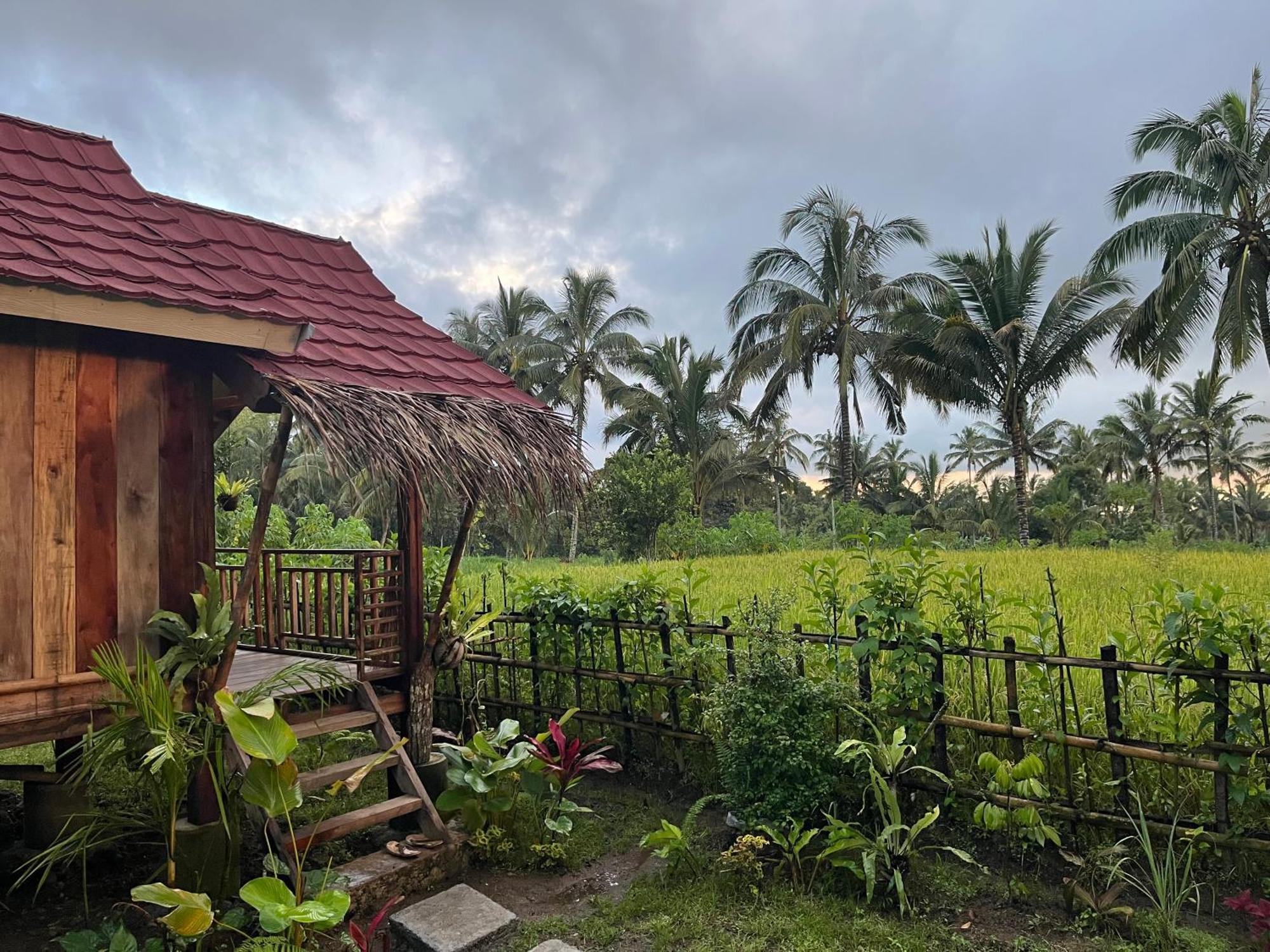 Syaqila Homestay Lombok テテバトゥ エクステリア 写真