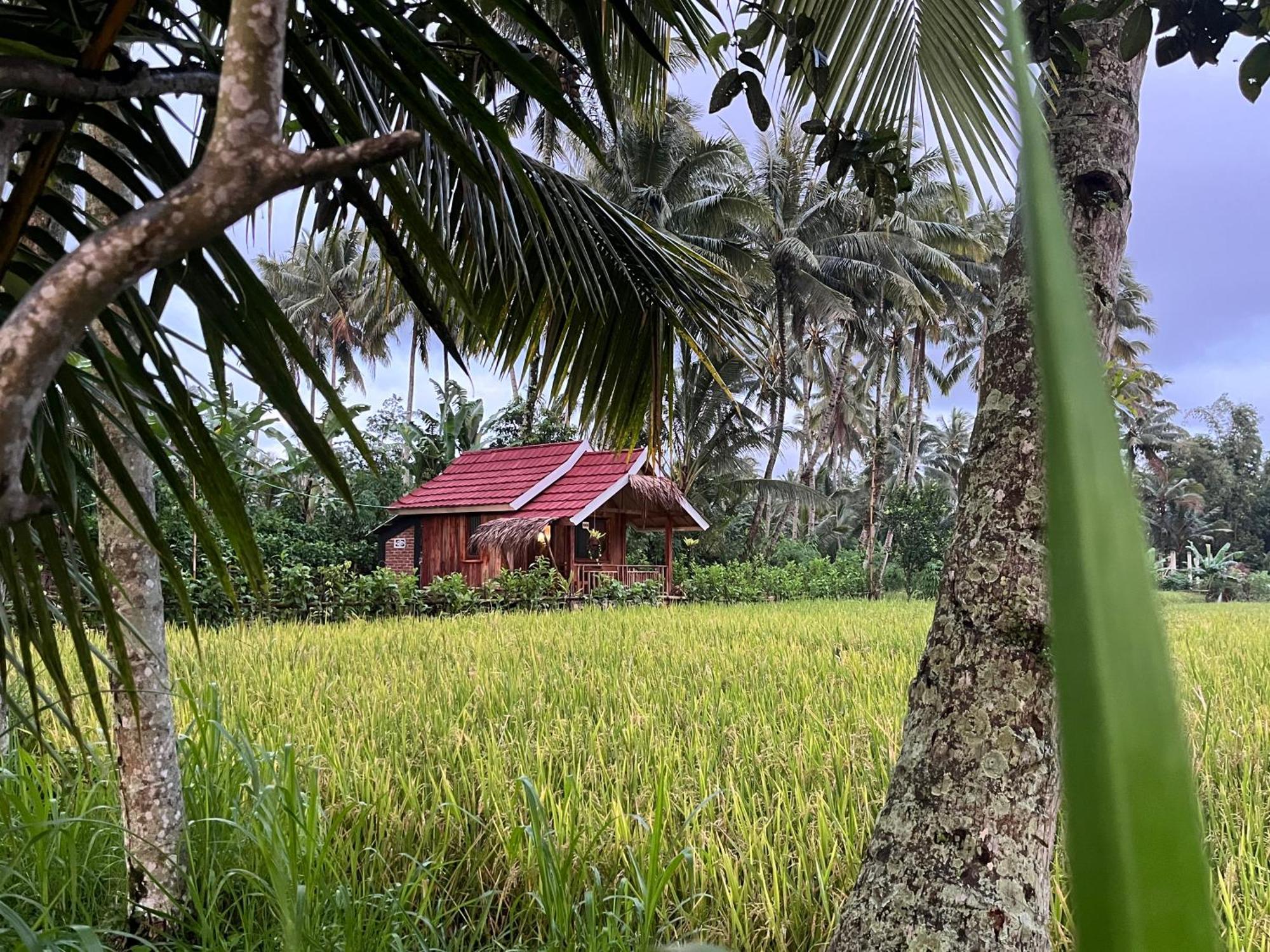 Syaqila Homestay Lombok テテバトゥ エクステリア 写真
