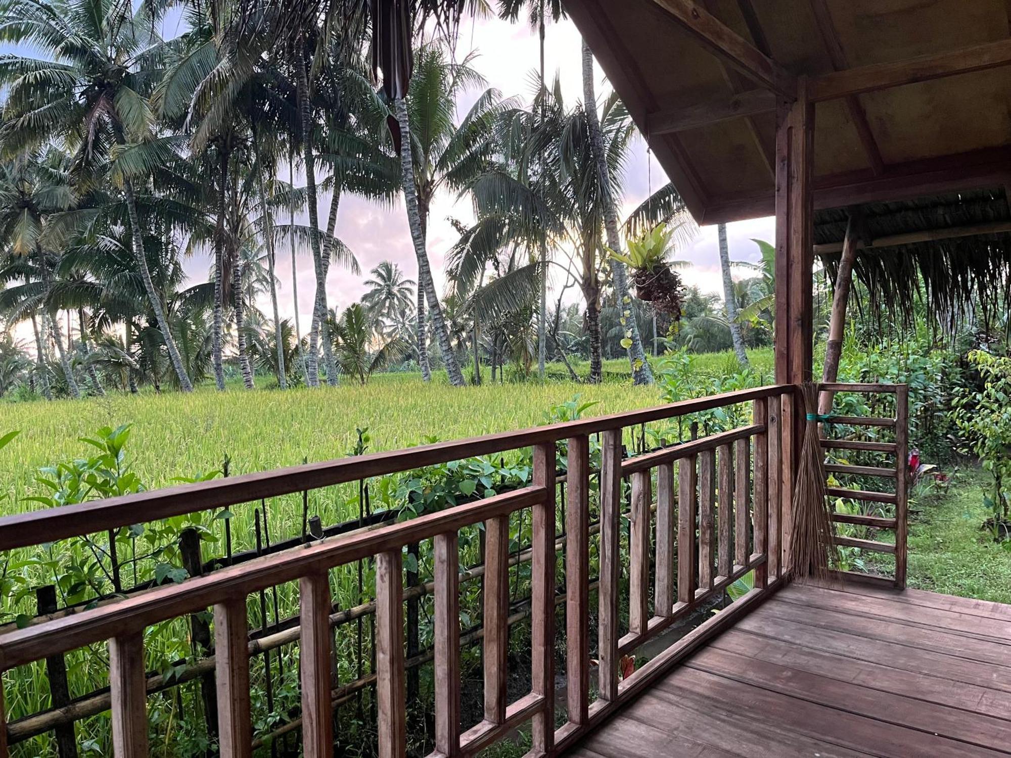 Syaqila Homestay Lombok テテバトゥ エクステリア 写真