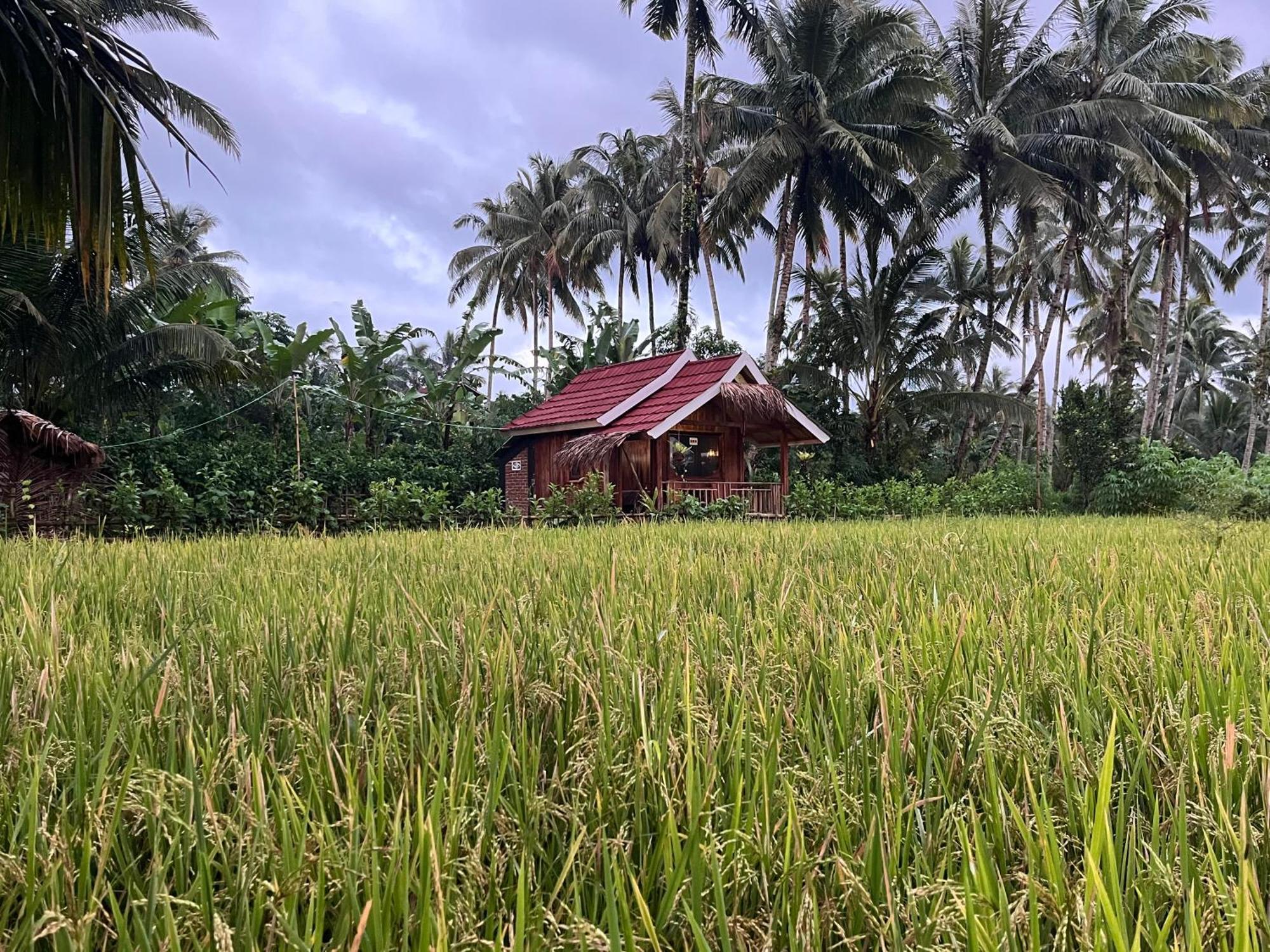 Syaqila Homestay Lombok テテバトゥ エクステリア 写真